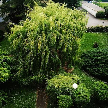 P' Ti Ecrin De Verdure Illzach Exteriér fotografie