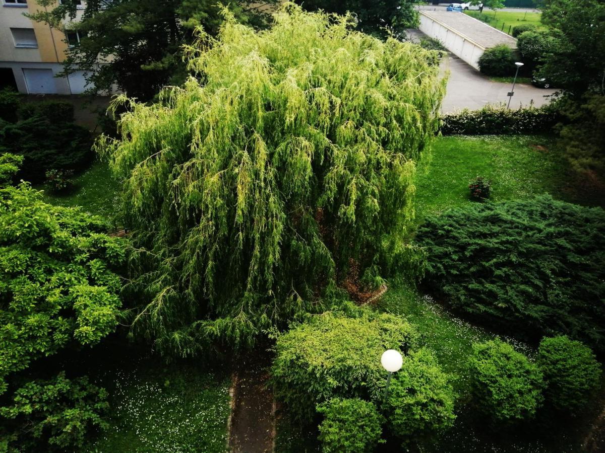 P' Ti Ecrin De Verdure Illzach Exteriér fotografie